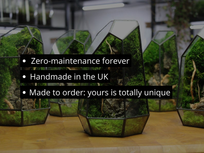 ✨Geometric Terrarium | Prism | Desktop Mossarium Centrepiece | Preserved Moss Art Terrarium | Crafts for Adults