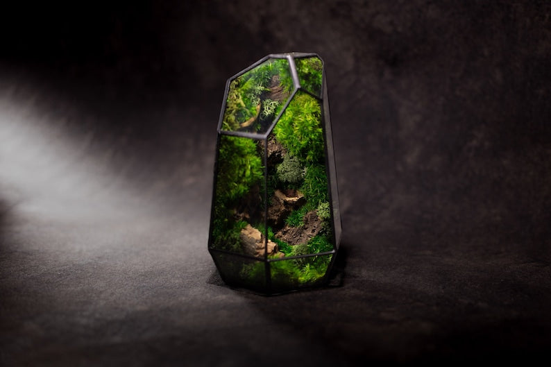 ✨Geometric Terrarium | Prism | Desktop Mossarium Centrepiece | Preserved Moss Art Terrarium | Crafts for Adults