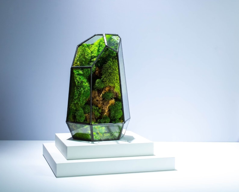 ✨Geometric Terrarium | Prism | Desktop Mossarium Centrepiece | Preserved Moss Art Terrarium | Crafts for Adults
