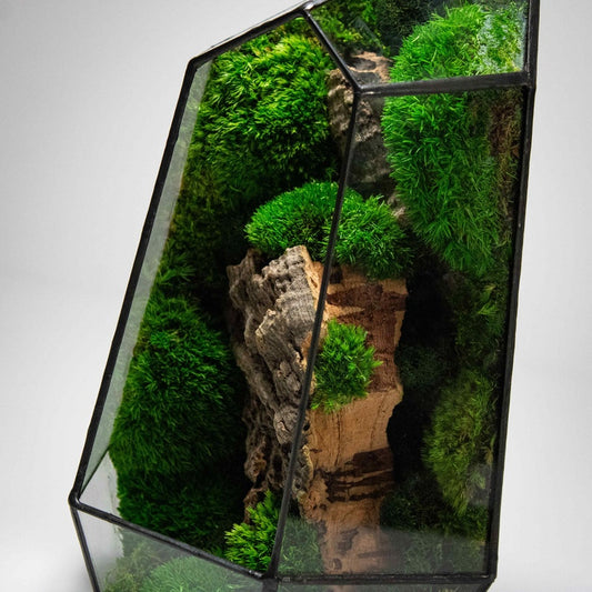 ✨Geometric Terrarium | Prism | Desktop Mossarium Centrepiece | Preserved Moss Art Terrarium | Crafts for Adults