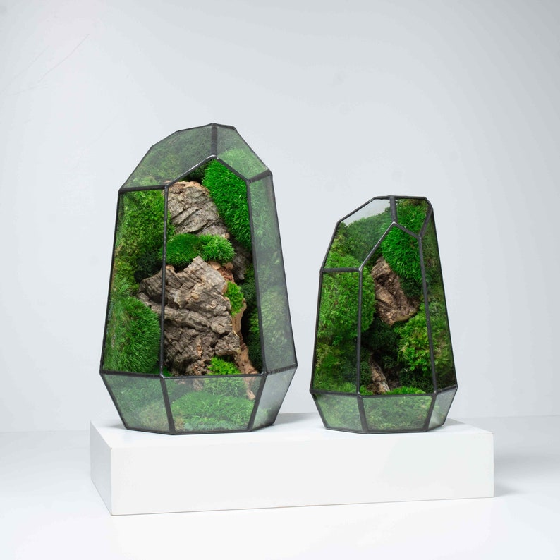 ✨Geometric Terrarium | Prism | Desktop Mossarium Centrepiece | Preserved Moss Art Terrarium | Crafts for Adults