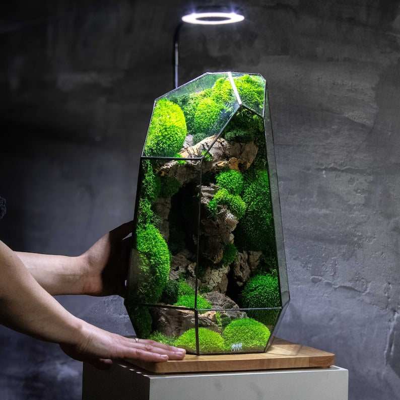 ✨Geometric Terrarium | Prism | Desktop Mossarium Centrepiece | Preserved Moss Art Terrarium | Crafts for Adults
