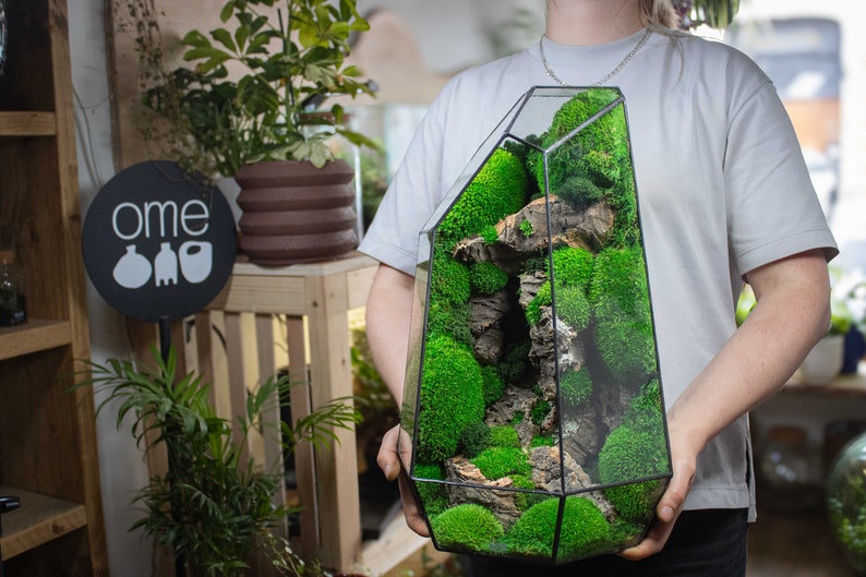 ✨Geometric Terrarium | Prism | Desktop Mossarium Centrepiece | Preserved Moss Art Terrarium | Crafts for Adults