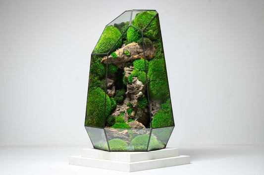✨Geometric Terrarium | Prism | Desktop Mossarium Centrepiece | Preserved Moss Art Terrarium | Crafts for Adults